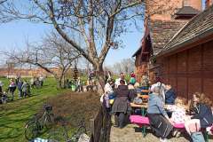 IMG_20230409_145140_176_r